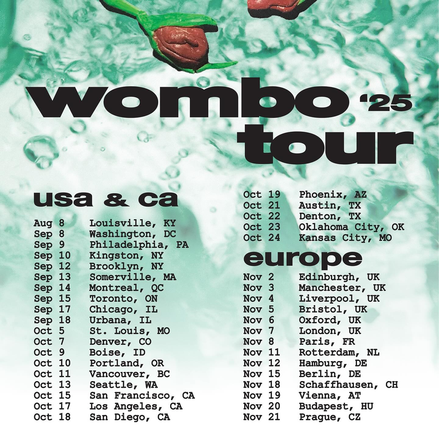 Wombo Tour Poster 2025